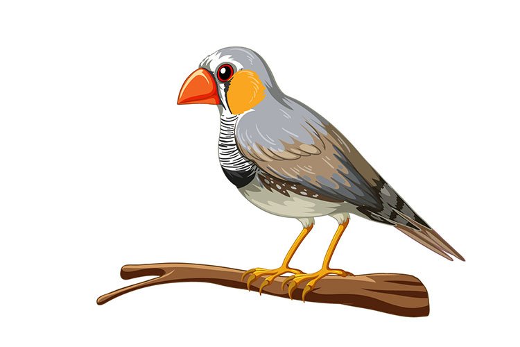 Vector Creation Services